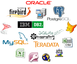 DBMS