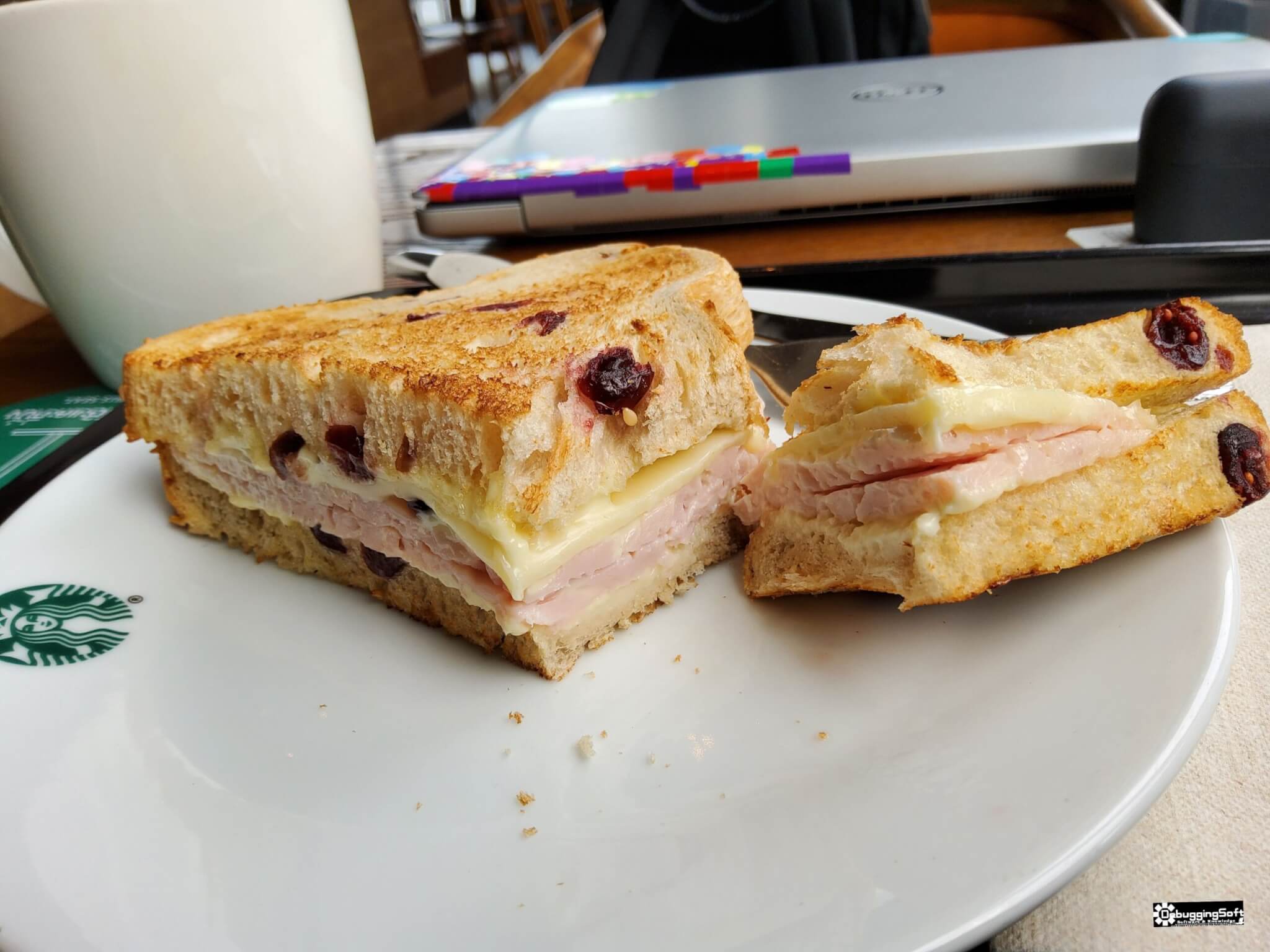 starbucks cranberry turkey sandwich